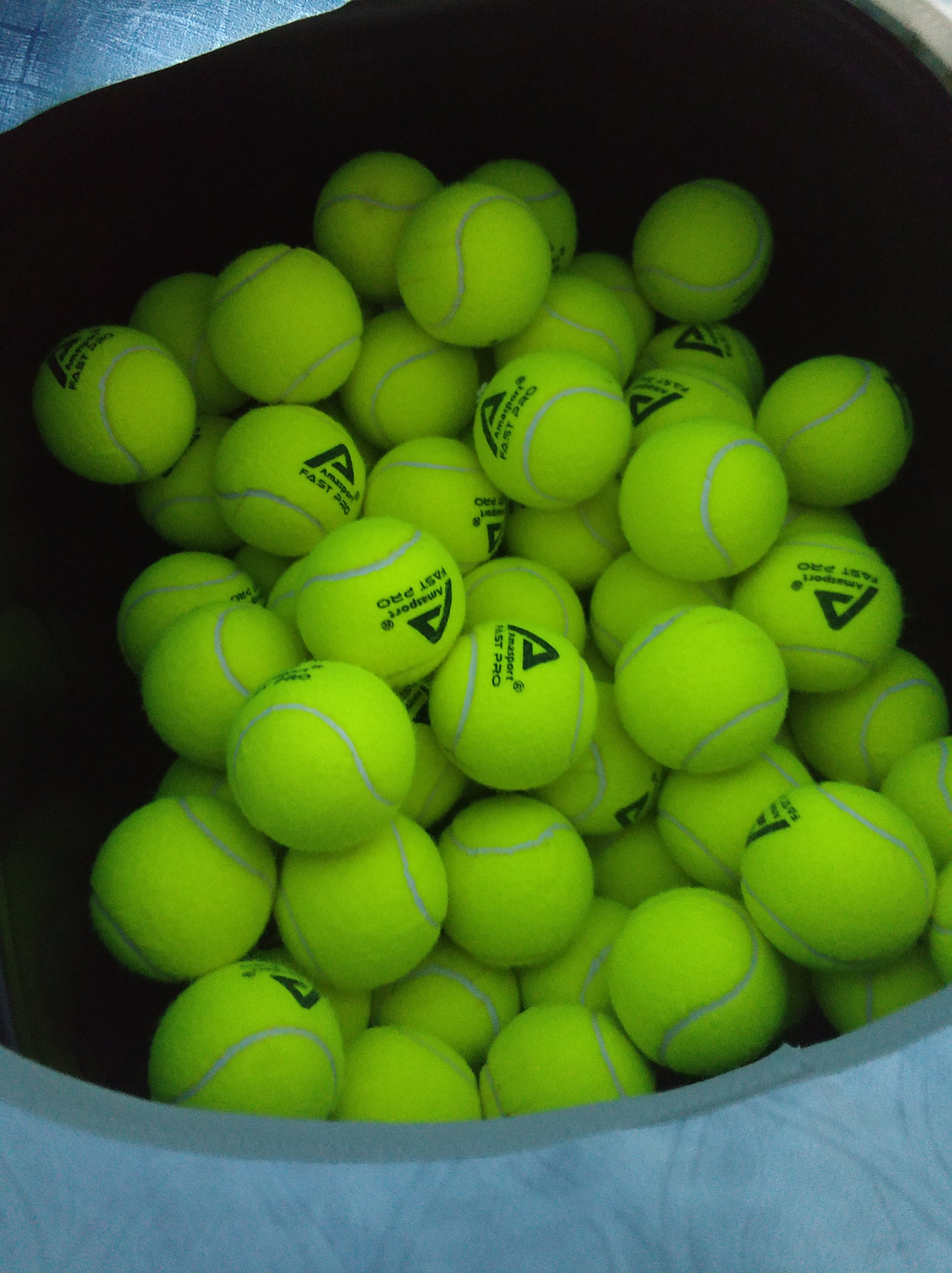 程化与个性 程化与个性